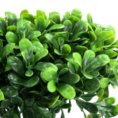 Artikel Buxus tak groen L20cm 12st