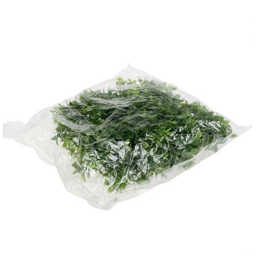 Floristik24 Buxus slinger groen 180cm