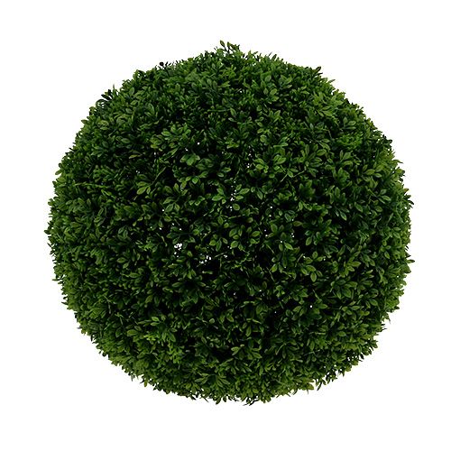 Floristik24 Buxus bol groen Ø33cm