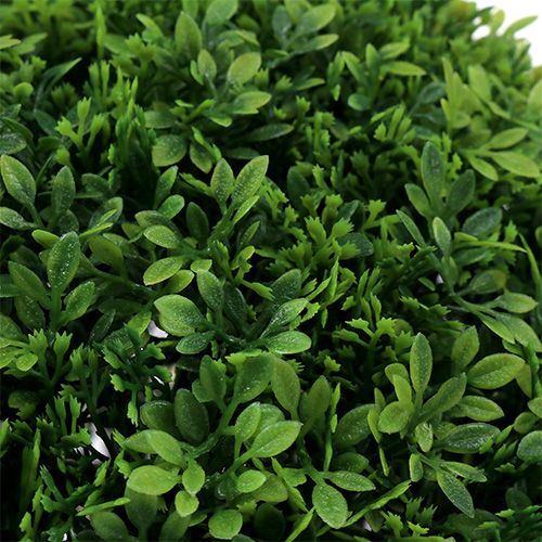 Floristik24 Buxus bol groen Ø33cm