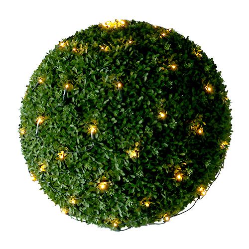 Floristik24 LED buxus ballennet Ø80cm 120 groen / warm wit