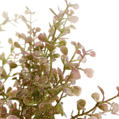 Floristik24 Buxustak roze, roze met mica 32cm