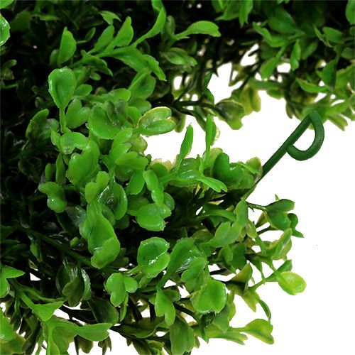 Artikel Buxus Slinger Groen L170cm