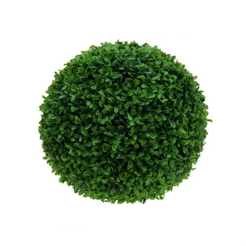 Floristik24 Buxus bol groen Ø20cm