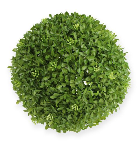 Floristik24 Bakbal Ø25cm