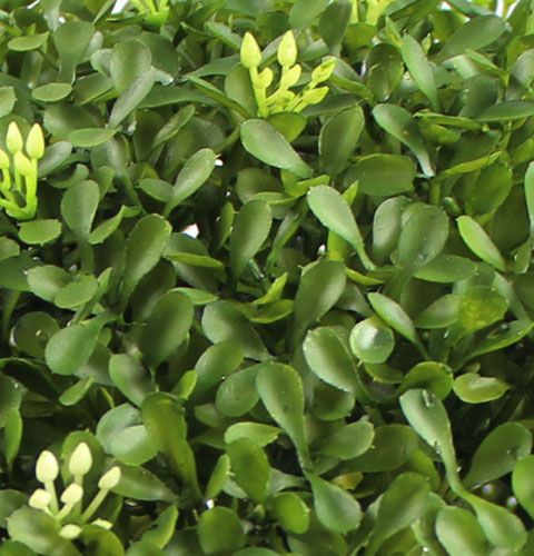 Floristik24 Bakbal Ø25cm