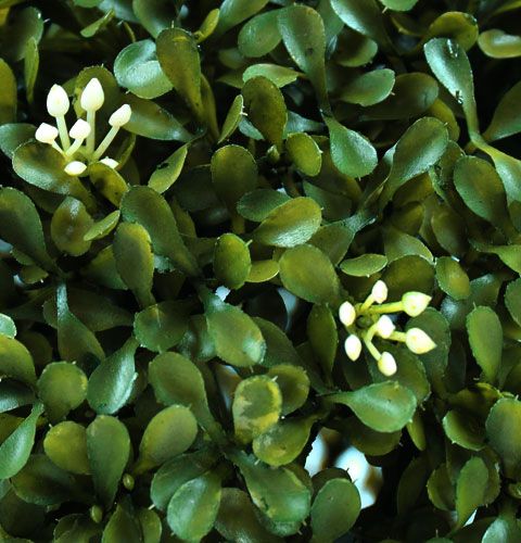 Floristik24 Boekbal Ø30cm