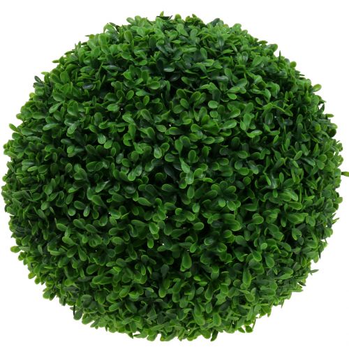 Floristik24 Buxus bol groen Ø55cm