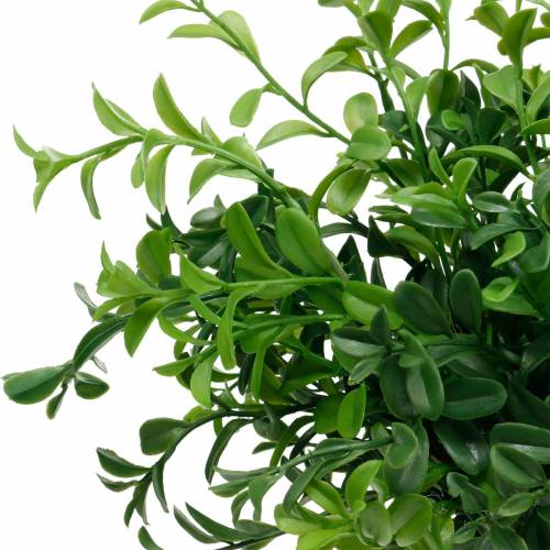 Floristik24 Buxistakken buxus op pluk kunst groene plant 6 st