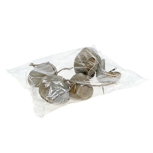 Artikel Boeddha Noten 8-10cm white washed 10 st