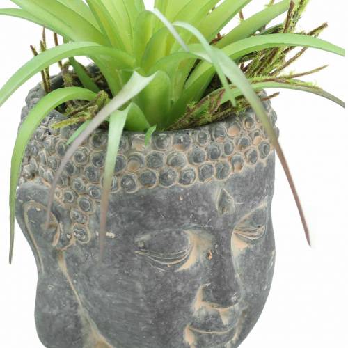Floristik24 Boeddha hoofd voor aanplant antiek look beton zwart Ø8 H8cm