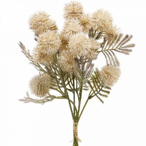 Floristik24 Kunst Distel Creme Drylook Bol Distel 33cm 3st