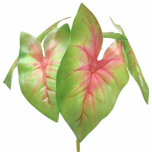 Artikel Kunstcaladium zesbladige groen/roze kunstplant zoals echt!