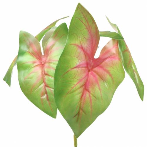 Floristik24 Kunstcaladium zesbladige groen/roze kunstplant zoals echt!