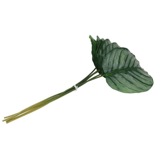 Floristik24 Decoratief vel, Calathea vel 6st