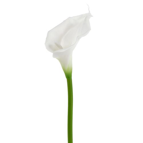 Floristik24 Kunstmatige calla wit 67cm