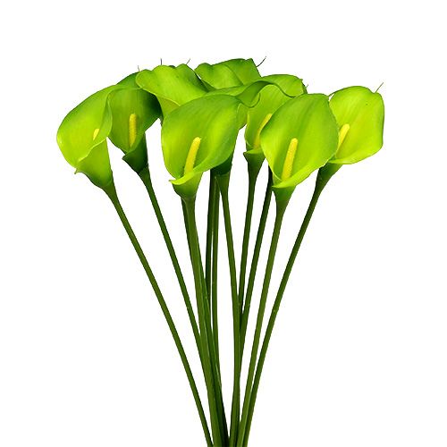 Floristik24 Calla kunstgroen 8cm L57cm 12st