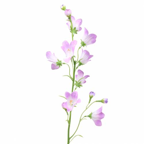 Floristik24 Kunstmatige Campanula Bellflower Paars 66cm