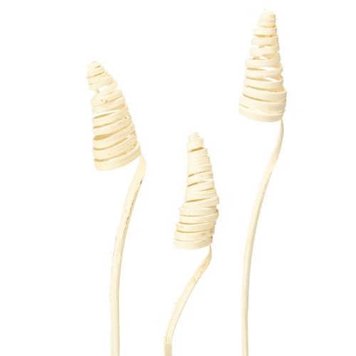 Floristik24 Riet Kegel gebleekt 25 st