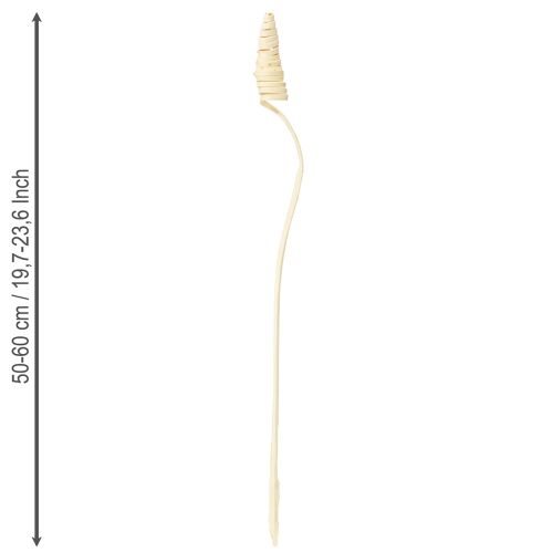 Artikel Riet Kegel gebleekt 25 st