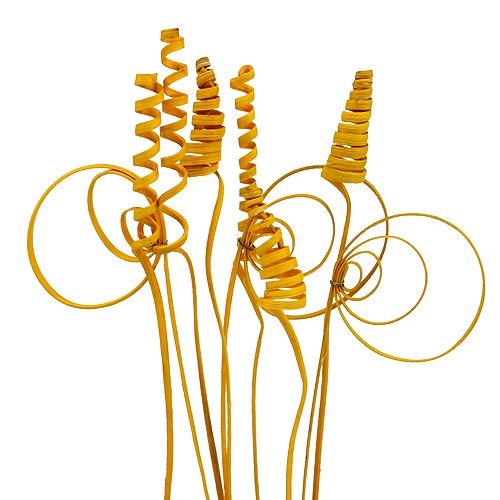 Floristik24 Riet assortiment mini goudgeel 75 stuks