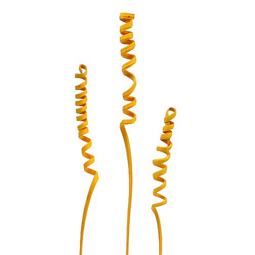 Floristik24 Cane Spring mini goudgeel 25 st