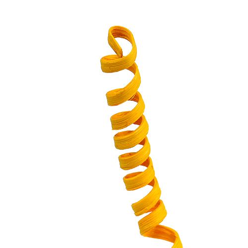 Floristik24 Cane Spring mini goudgeel 25 st