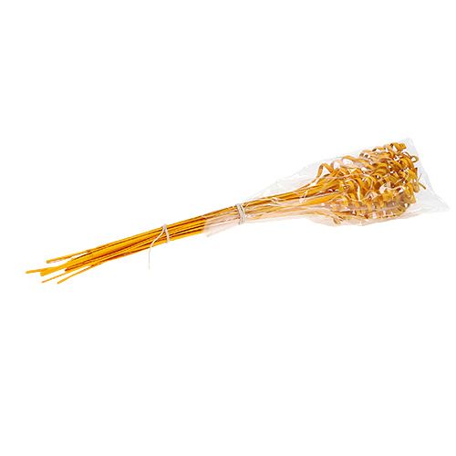 Floristik24 Cane Spring mini goudgeel 25 st