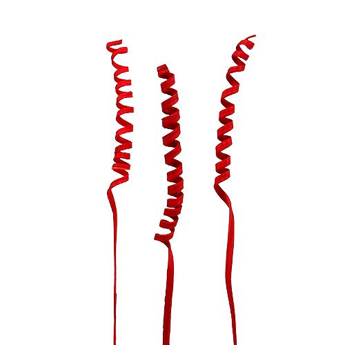 Floristik24 Cane Spring mini rood 25 st