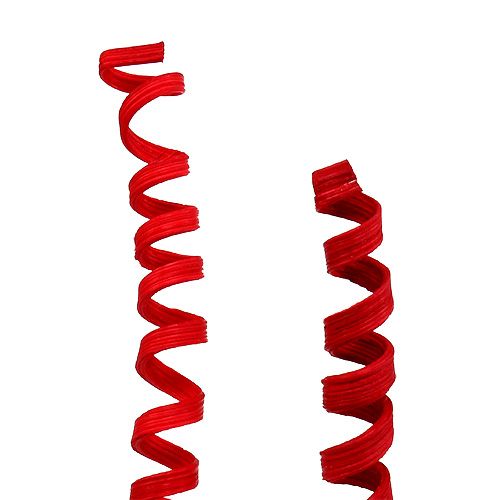 Floristik24 Cane Spring mini rood 25 st