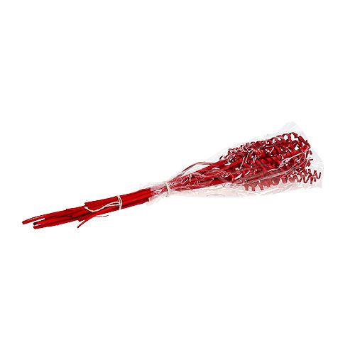 Floristik24 Cane Spring mini rood 25 st