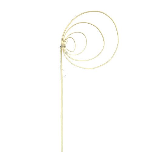 Artikel Riet Coil gebleekt 25 st