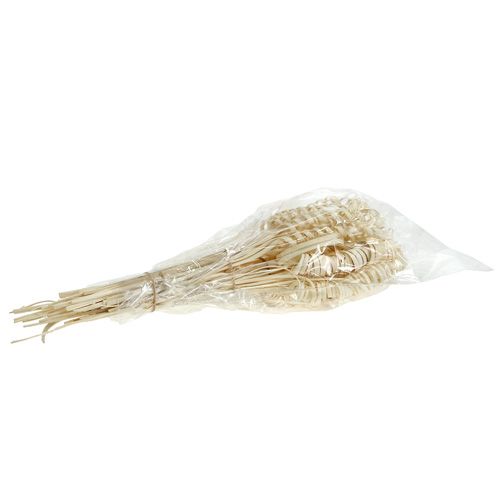Artikel Riet assortiment mini gebleekt 75 stuks