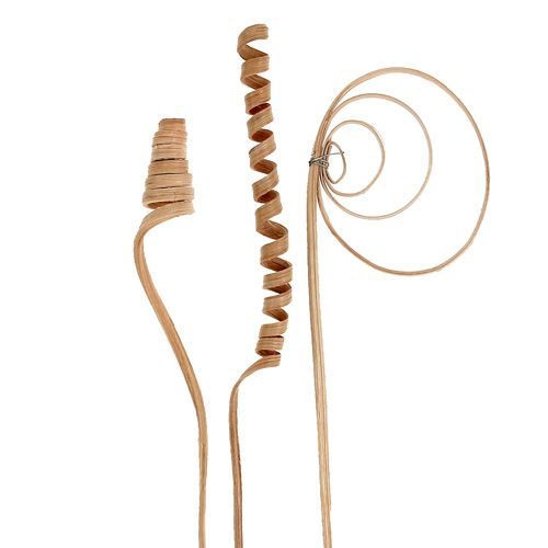 Artikel Riet assortiment mini naturel 75 stuks