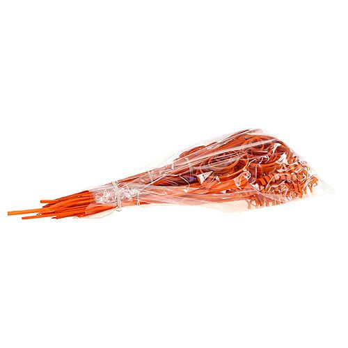 Artikel Riet assortiment mini oranje 75 stuks