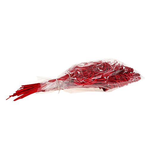 Artikel Riet assortiment mini rood 75 st