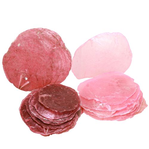 Artikel Capiz schelpdecoratie in roze bes 5cm–8cm mix 60 stuks