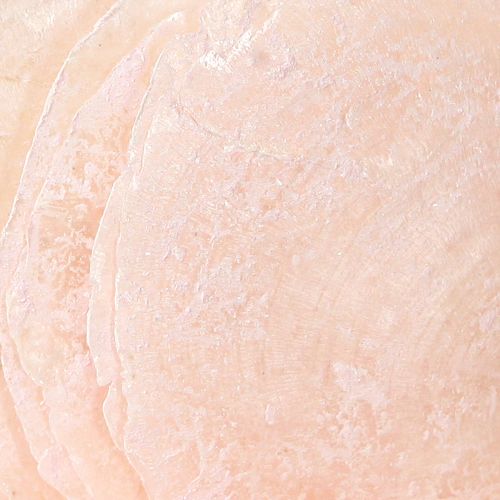 Floristik24 Capiz schelpen parelmoer schijven deco schelpen lichtroze Ø8cm
