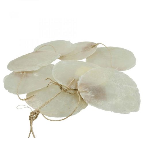 Floristik24 Capiz schelpenslinger parelmoer, maritiem decor 100cm