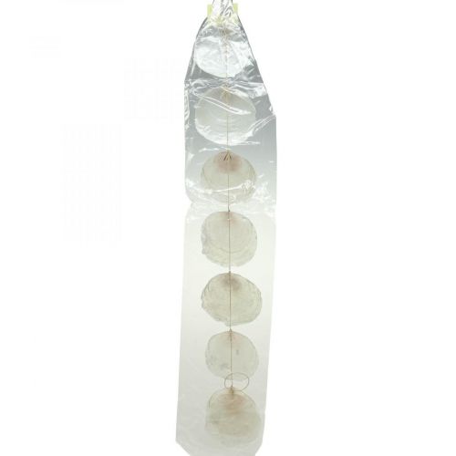 Floristik24 Capiz schelpenslinger parelmoer, maritiem decor 100cm