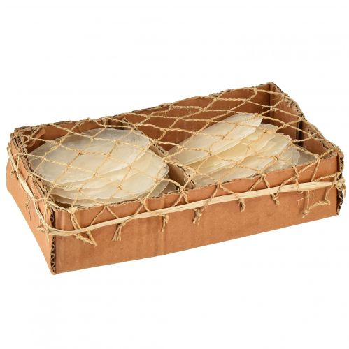 Artikel Capiz schelpen Capiz plakjes parelmoer plakjes naturel 7,5–9,5cm 300g
