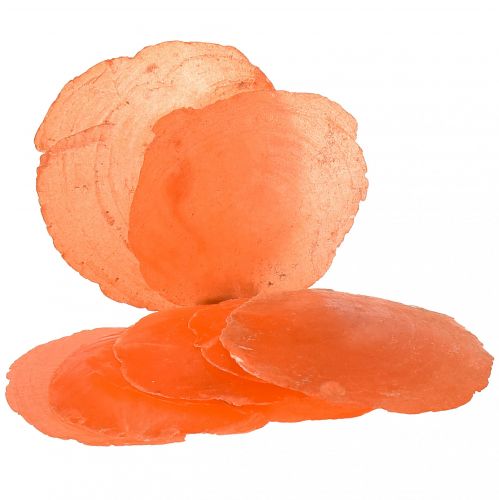 Artikel Capiz-schelpen Capiz-schijfjes Parelmoerschijfjes oranje 7,5–9,5 cm 300 g