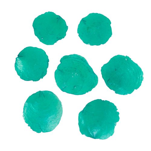 Floristik24 Capiz schelpen Capiz schijven parelmoer schijven turkoois 7,5–9,5cm 300g