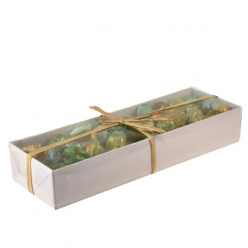 Floristik24 Capiz parelmoer schelp parelmoer plakjes zeeslakkenschild groen 3,5–9,5cm 750g
