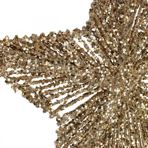 Artikel Kerstboomversieringen, Adventsversieringen, sterhanger Gouden B25.5cm 4st