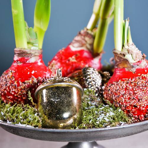 Floristik24 Kerstboomversiering eikel om op te hangen metaal glas goud 11cm 4st