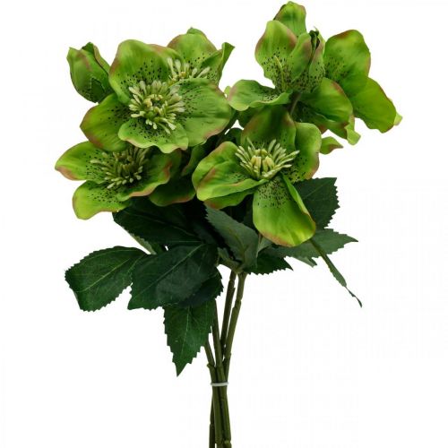 Artikel Kerstroos Lenteroos Helleborus kunstbloemen groen L34cm 4st