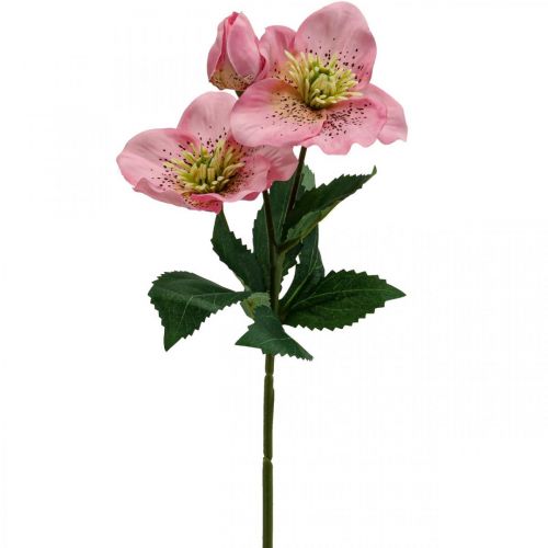 Floristik24 Kerstroos, lenteroos, nieskruid, kunstplanten roze L34cm 4st