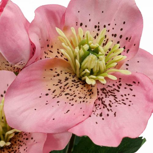 Floristik24 Kerstroos, lenteroos, nieskruid, kunstplanten roze L34cm 4st