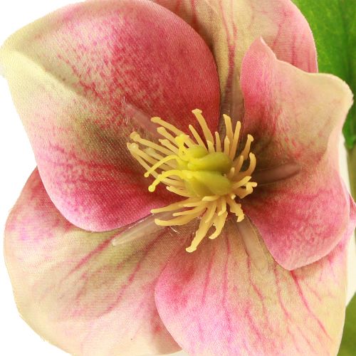 Artikel Elegant boeket roze kerstrozen – 35 cm 6 st.